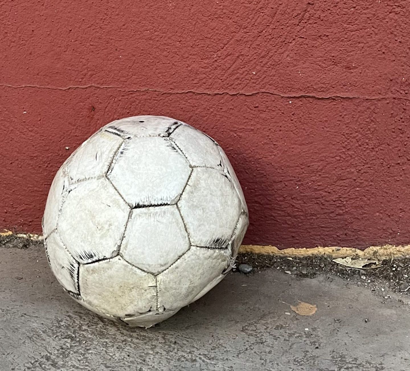 2026 WORLD CHAMPIONS: STORIES THAT INSPIRE